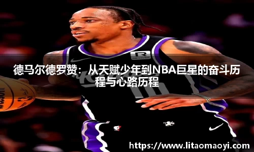 3003新葡的京集团网址