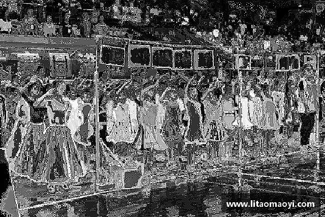 了解新葡的京集团